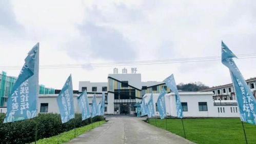 實(shí)踐案例 三