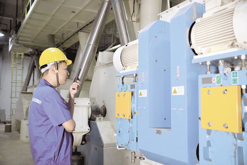 天門飼料企業 辟蹊徑，克時艱，穩中求進促增長